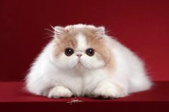 èΪʲô��ϲ��ˮ��