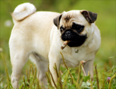 ����������ô����?