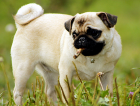 ����������ô����?