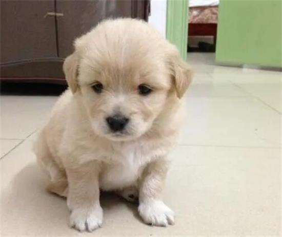 �������Գ�θ��Ӧ�ó�ʲôҩ��