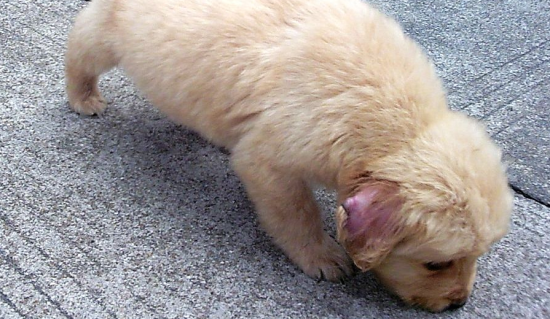 ��ë�����ջ���ô����