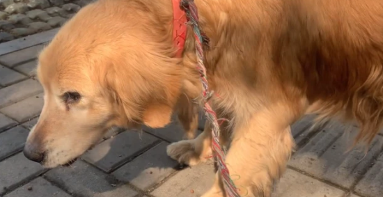 ��ë������ٶȻᶳ��