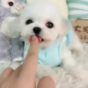 С������ҩ��ô����ι?