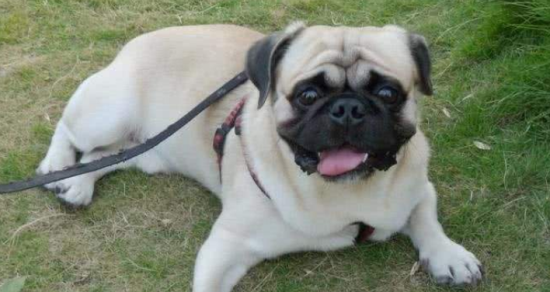 �������ϰͱ�˹�没��ô���ƣ�