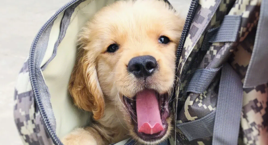 ��ë��ζ����ô���