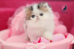 è�������ô����?