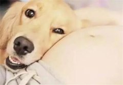 ������������Ķ�����������ʲô��˼