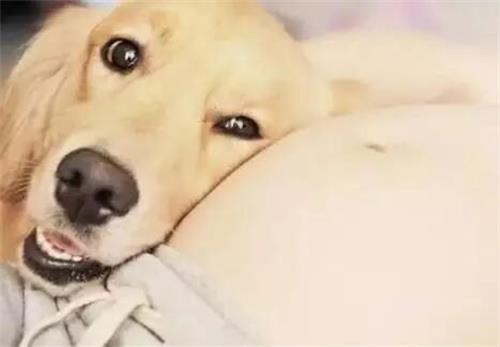 ������������Ķ�����������ʲô��˼