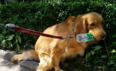 ��ë��ʲôȮ��