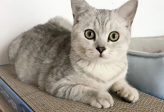 è������ô��