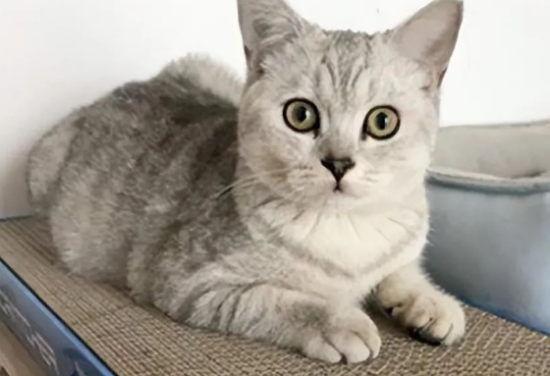 è������ô��