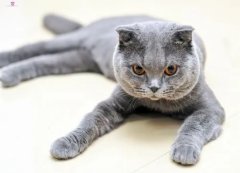 è�Զ�����������ô��?