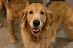 ��ë�����¿�ʼ������