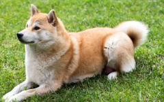 ������Ȯ��ע���������Щ