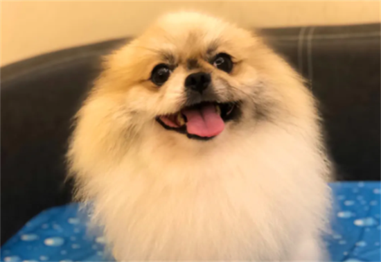 ����������������ô�죿