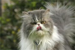 è������̻�������?