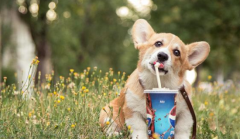 ������ëʳ������Щ?