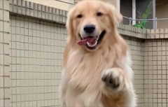 ��ë������ǳ���