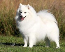 ��������ı��ֶ�����Щ