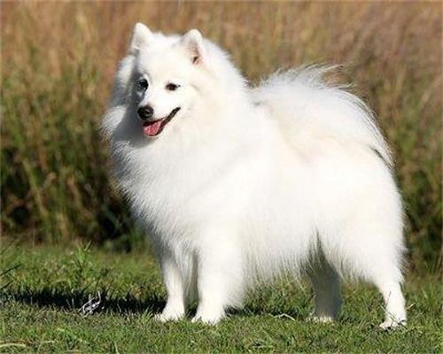 ��������ı��ֶ�����Щ