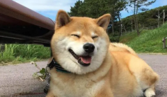 �սӻؼҵĹ���������Щע������