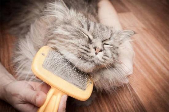 è�Ƕ��������?