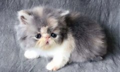 è����ʺ����ô����?