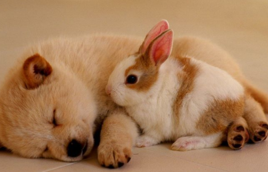 ������������һ����