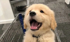 ��ô�жϽ�ë��������