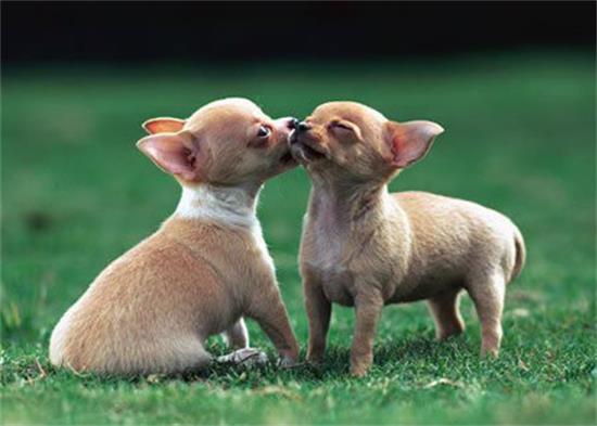 ��������ôѵ����������������������