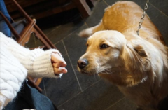 ��ë����ȱ��