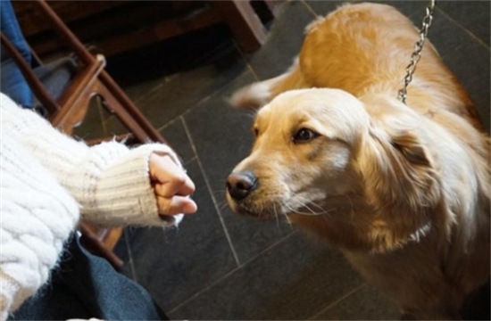 ��ë����ȱ��