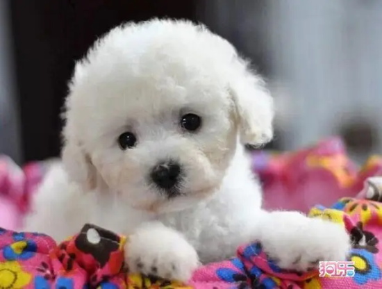 ������ô��ѵ����