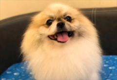 ����������ë������ʲô