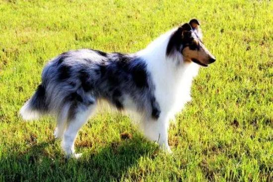 �����Գ�θ������Щ֢״������ô���ƣ�