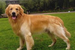 ����ð����ô�죬��Щ������һ��