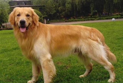 ����ð����ô�죬��Щ������һ��