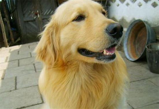 ��ëȮ�ĳ����Ŵ�����