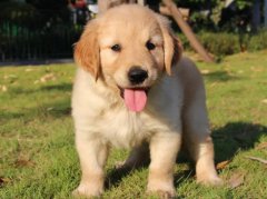 ������ϡ��ô�Σ��������취