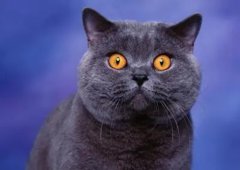 è�丹к��λ���