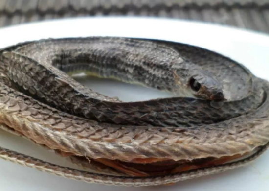 ����������ܳ�����