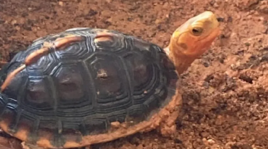 ���������ġ������ơ���