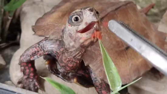 ���������ġ������ơ���