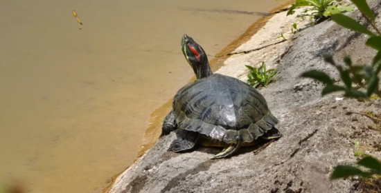 ���������ġ������ơ���