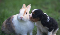 �����ᱣ��������