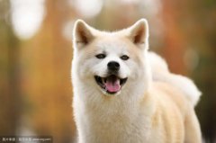 ������Ȯ�۸���٣�