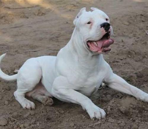 ������ֺ�״Ӹ���������ô�� 