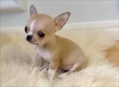 ��������ô������������ס���¼���