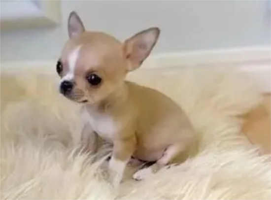 ��������ô������������ס���¼���