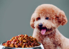 ����Ҫ��ë�� ��ô��������ë